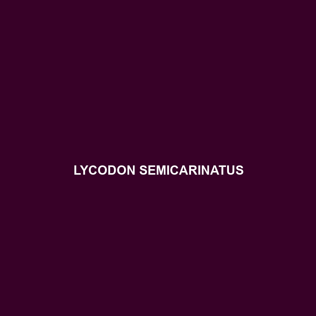 Lycodon semicarinatus