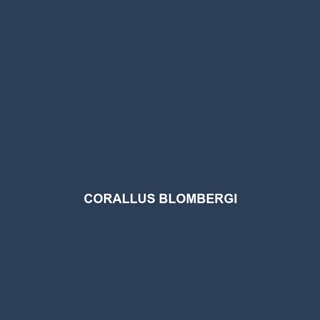 Corallus blombergi