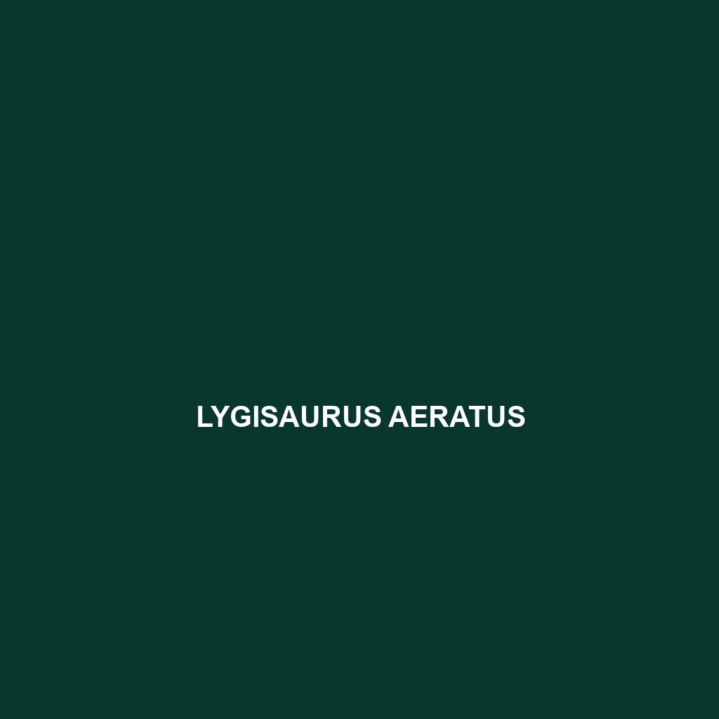 Lygisaurus aeratus