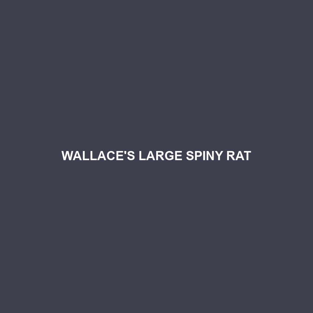 Wallace's Large Spiny Rat