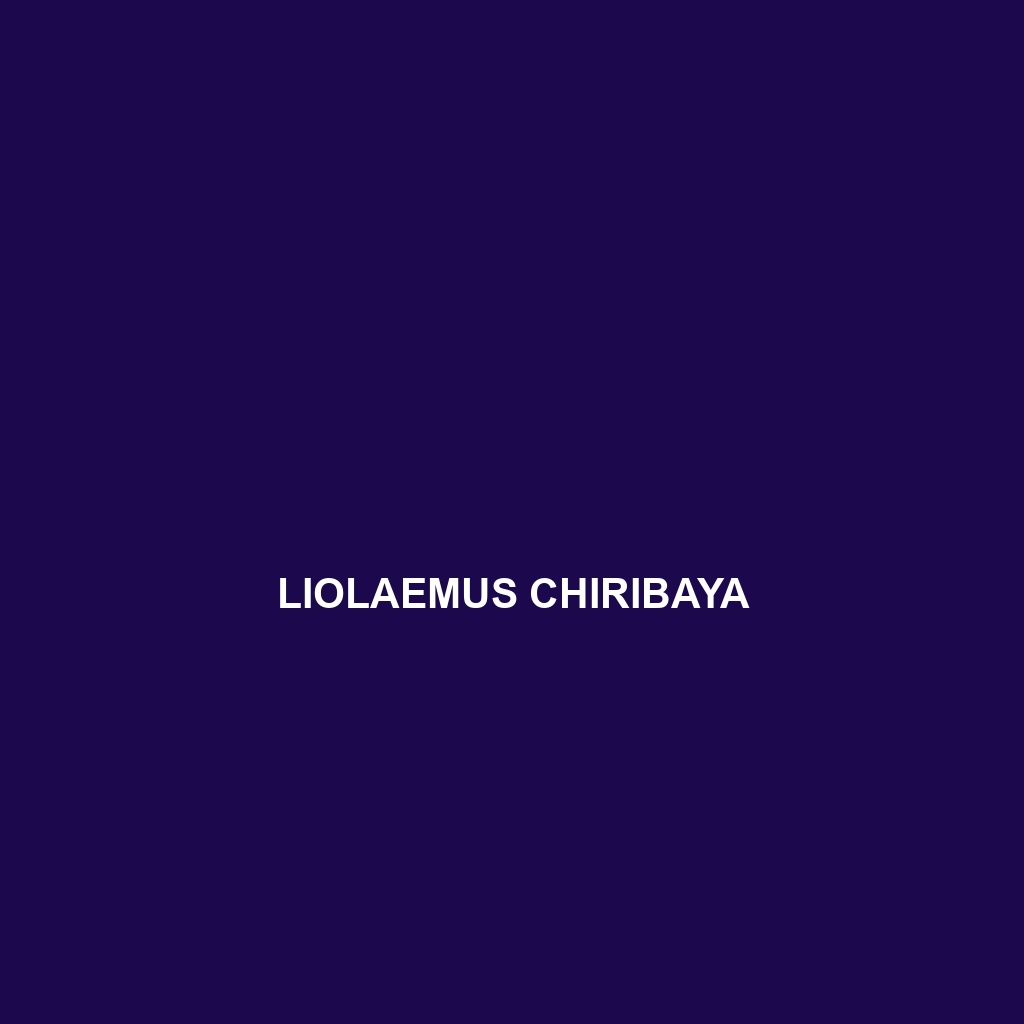 Liolaemus chiribaya