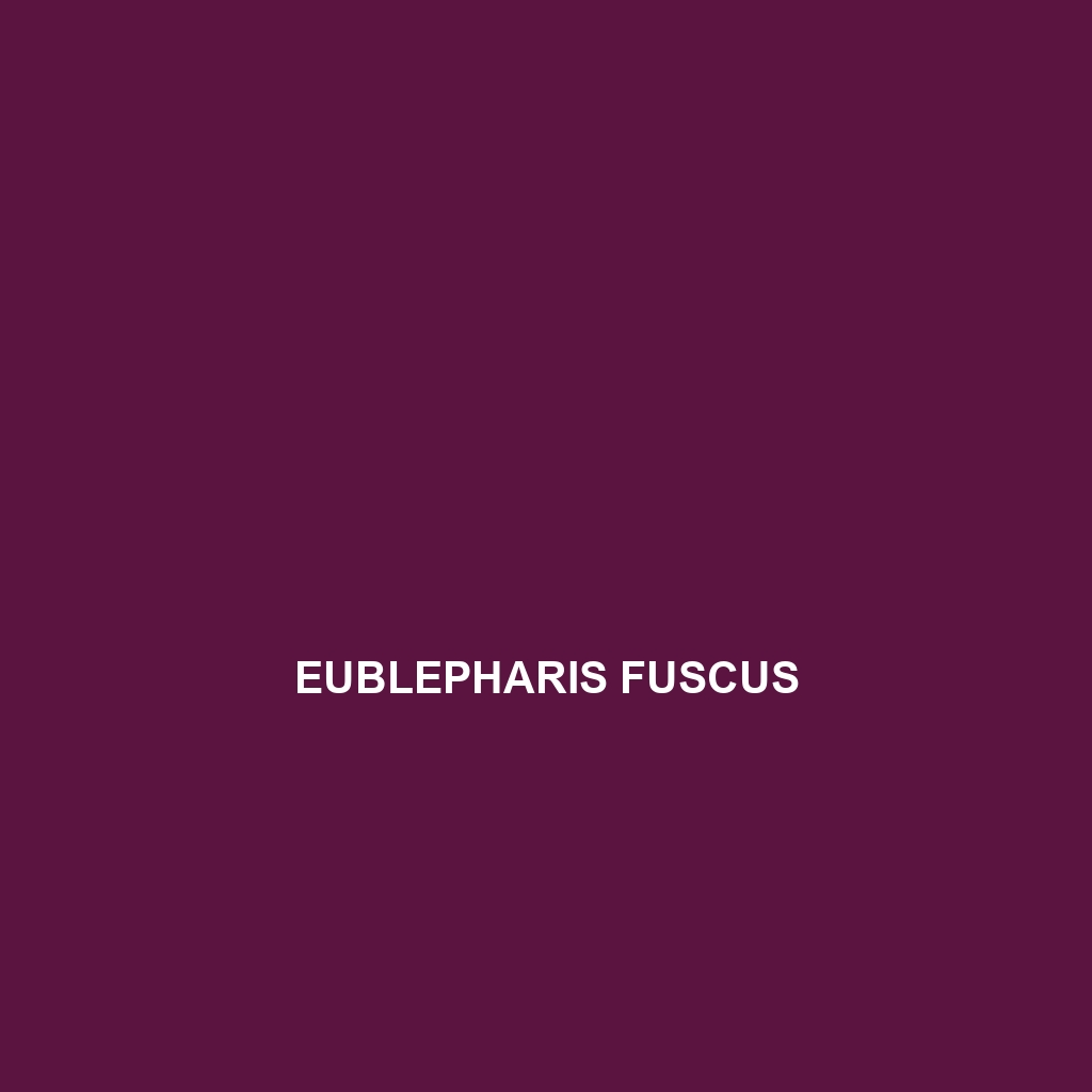 Eublepharis fuscus