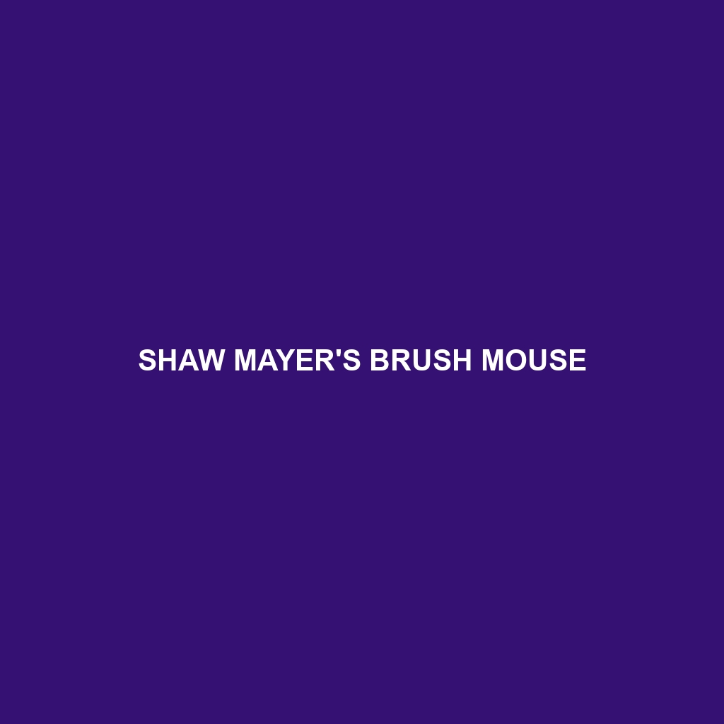 Shaw Mayer's Brush Mouse