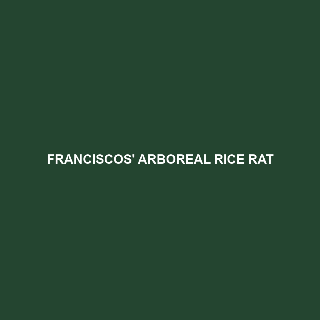 Franciscos' Arboreal Rice Rat