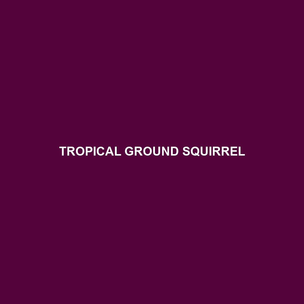 Tropical Ground Squirrel