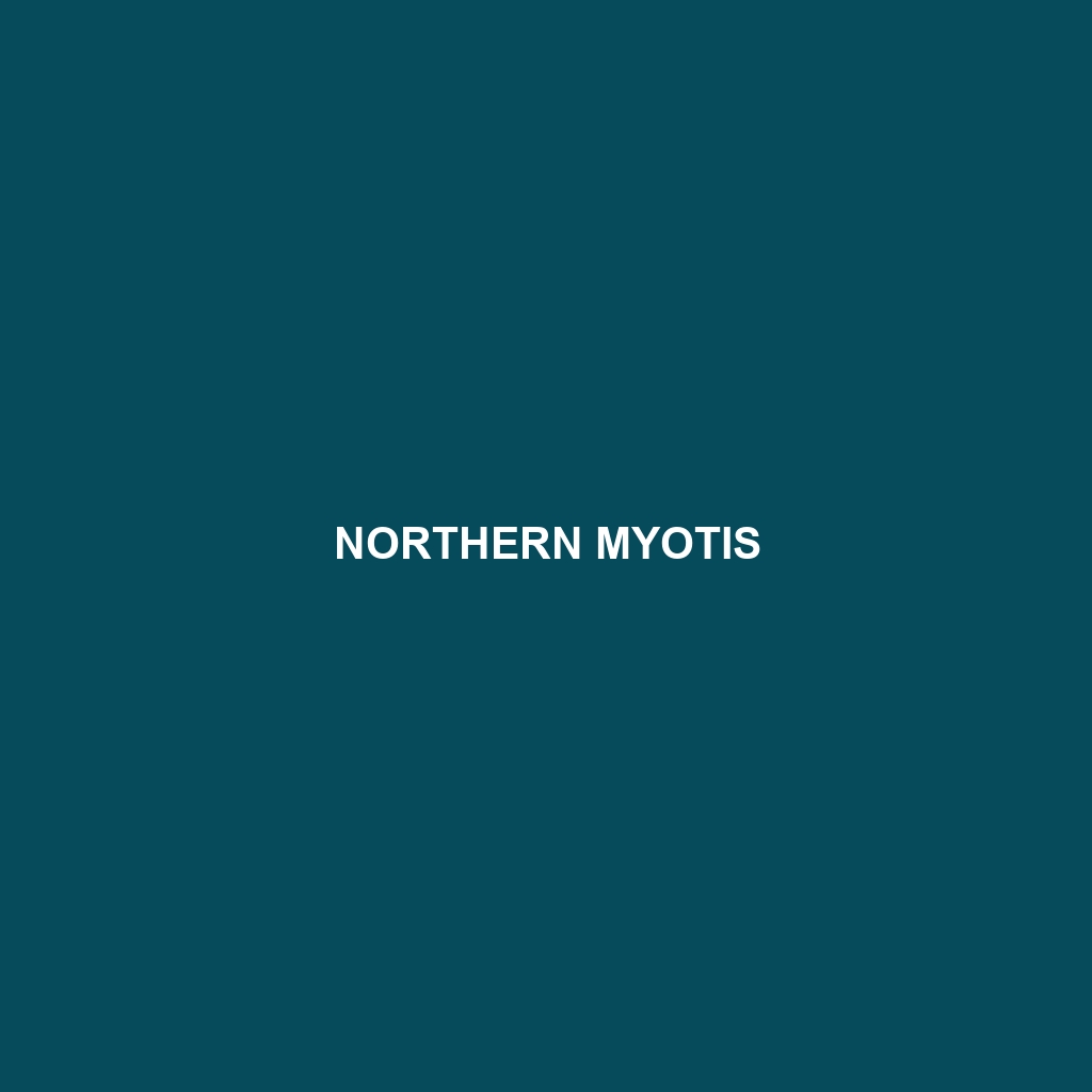 Northern Myotis