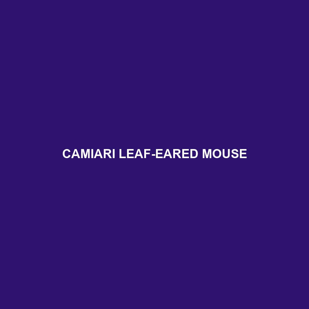 Camiari Leaf-eared Mouse