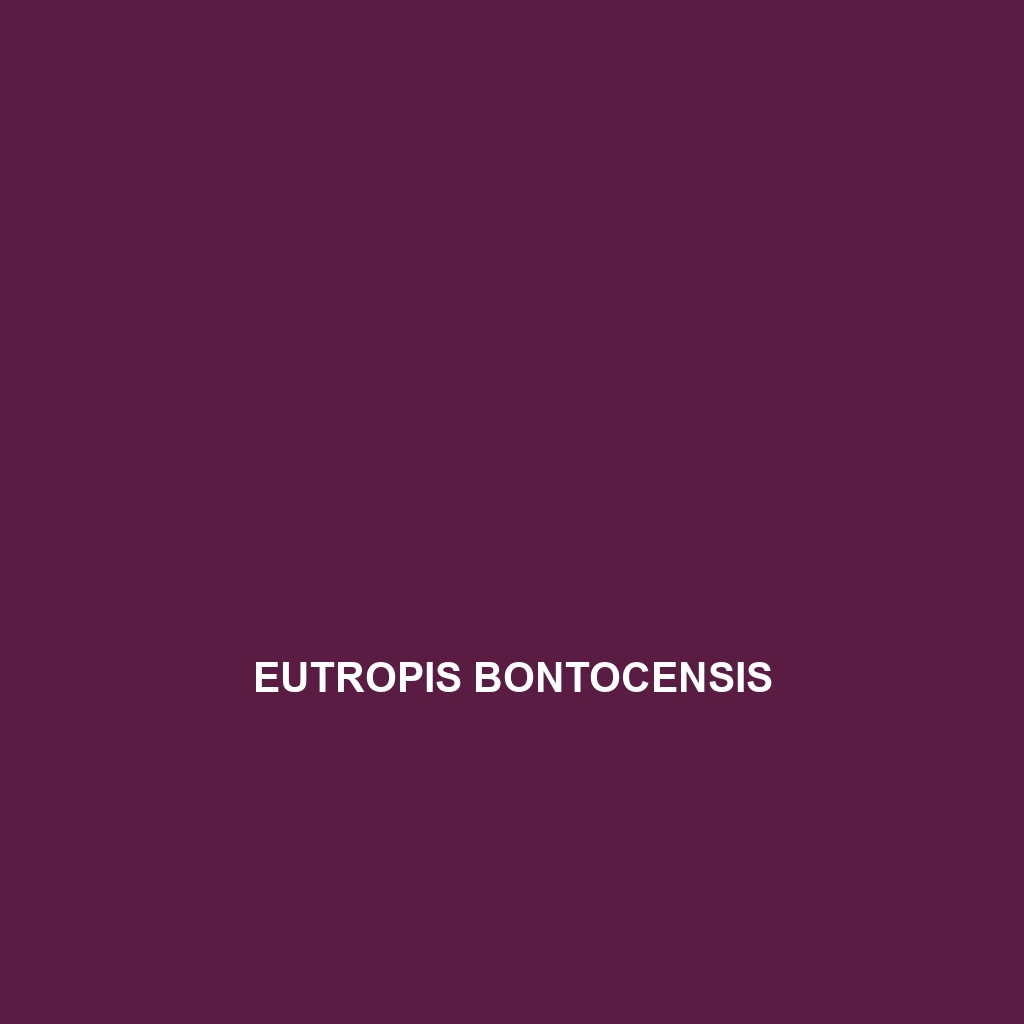 Eutropis bontocensis