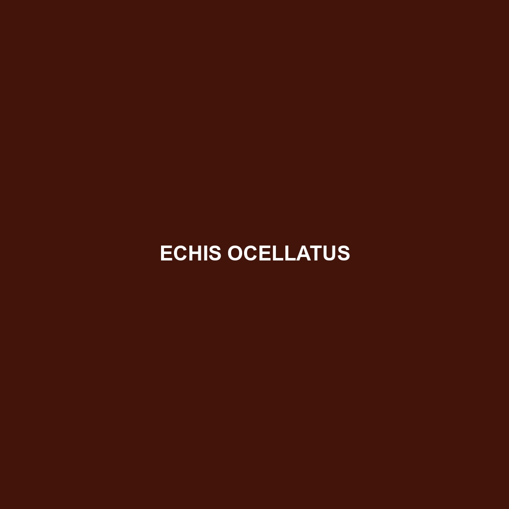 Echis ocellatus