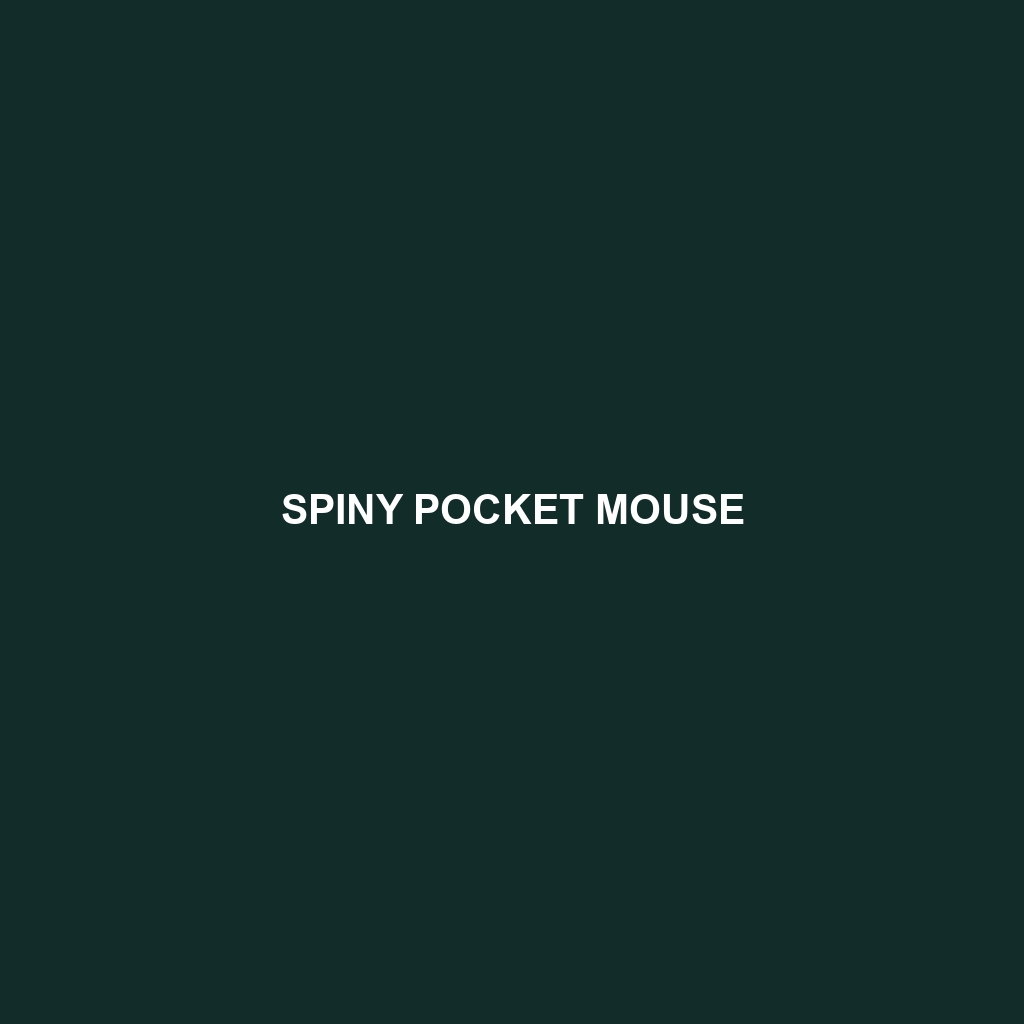 Spiny Pocket Mouse