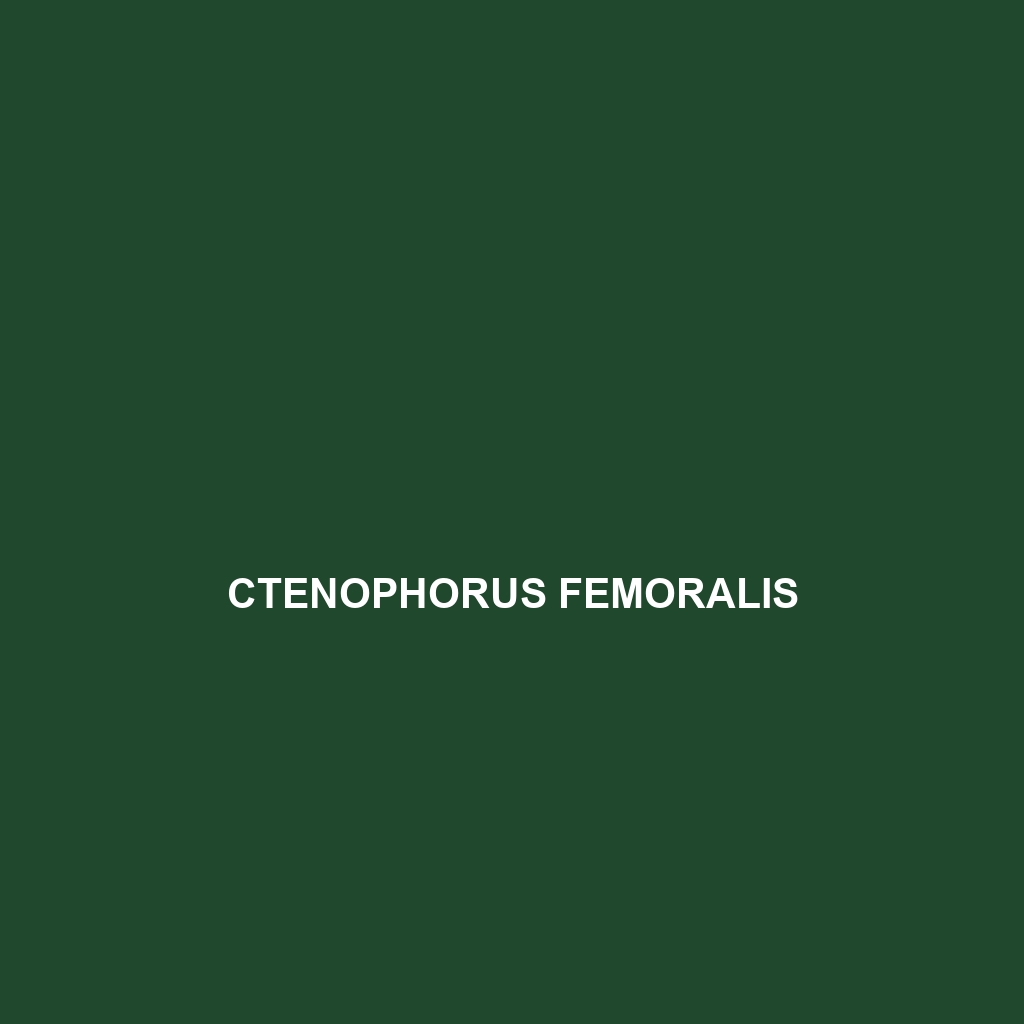 Ctenophorus femoralis