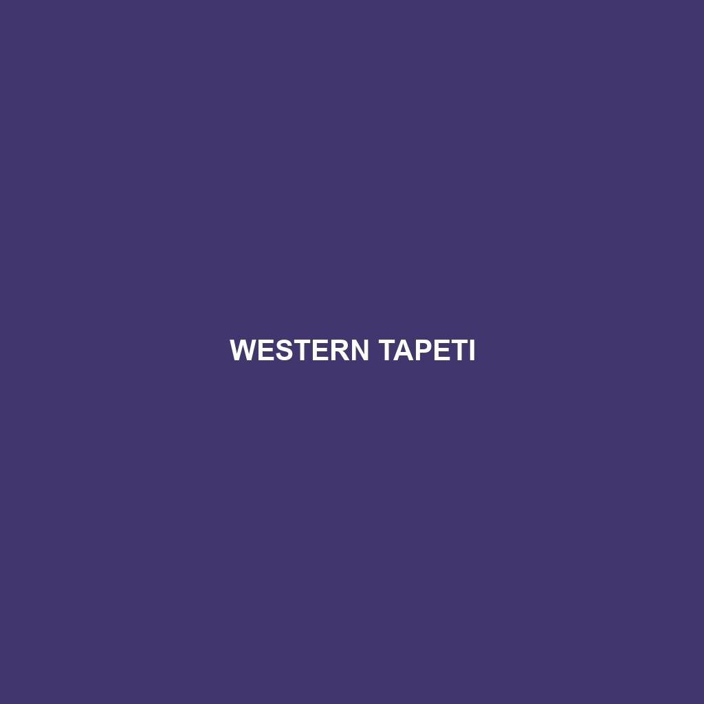 Western Tapeti