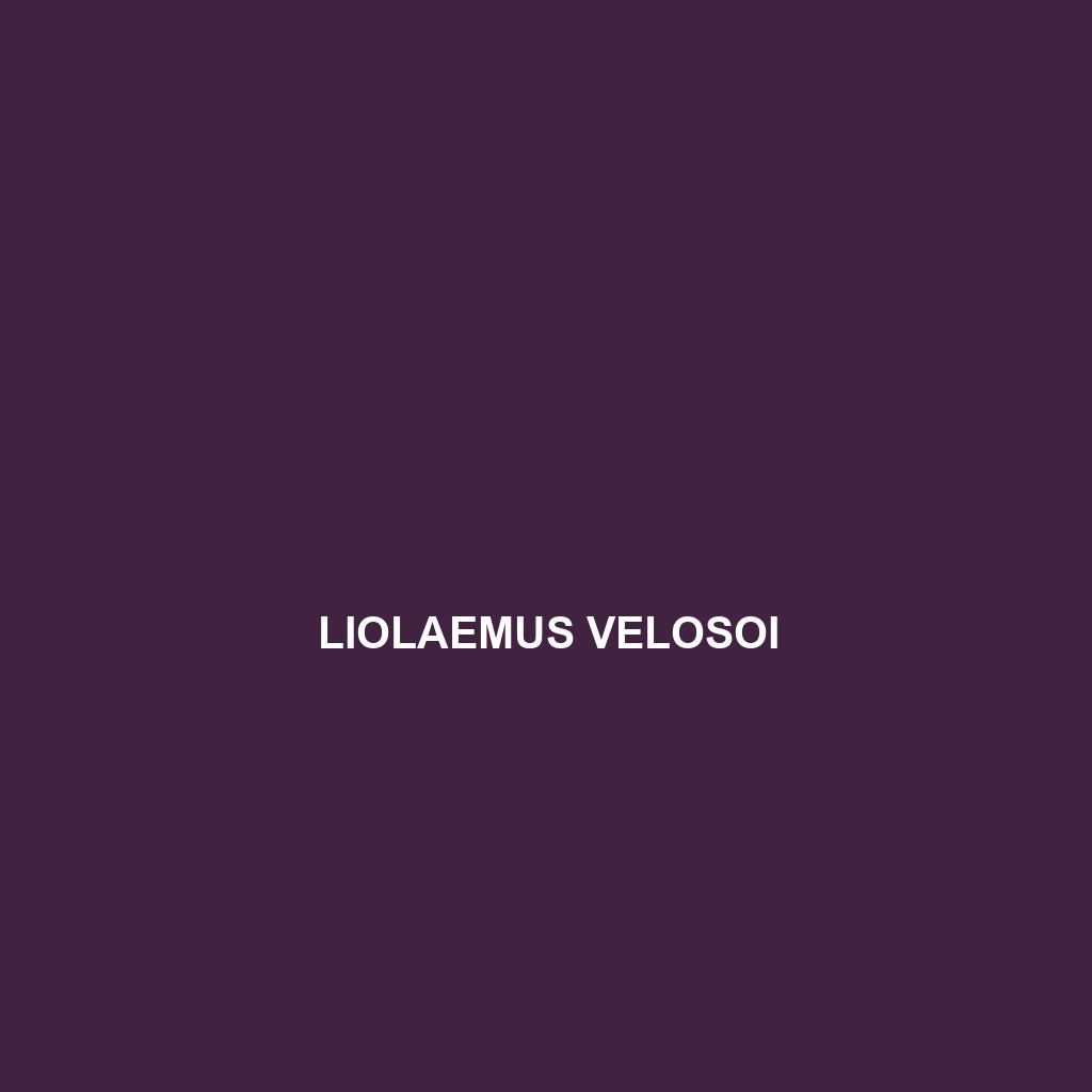 Liolaemus velosoi