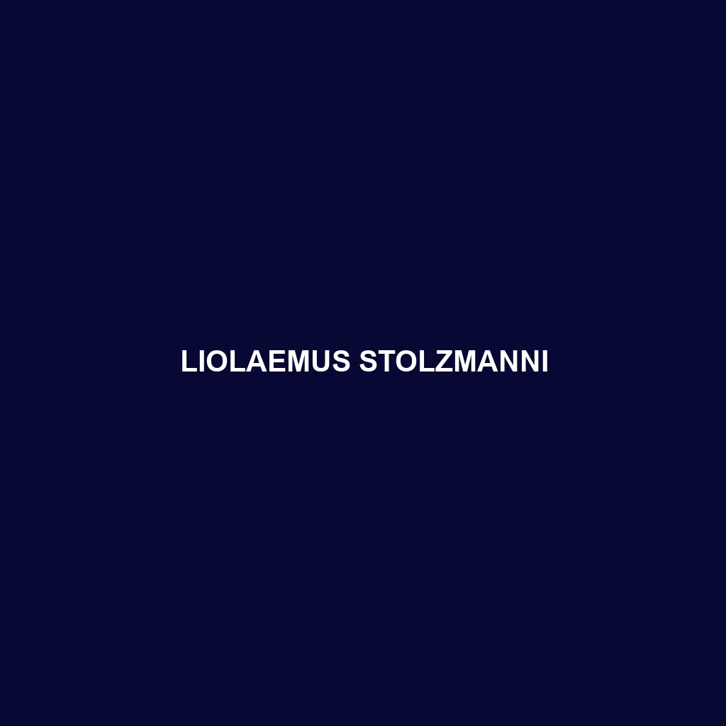 Liolaemus stolzmanni