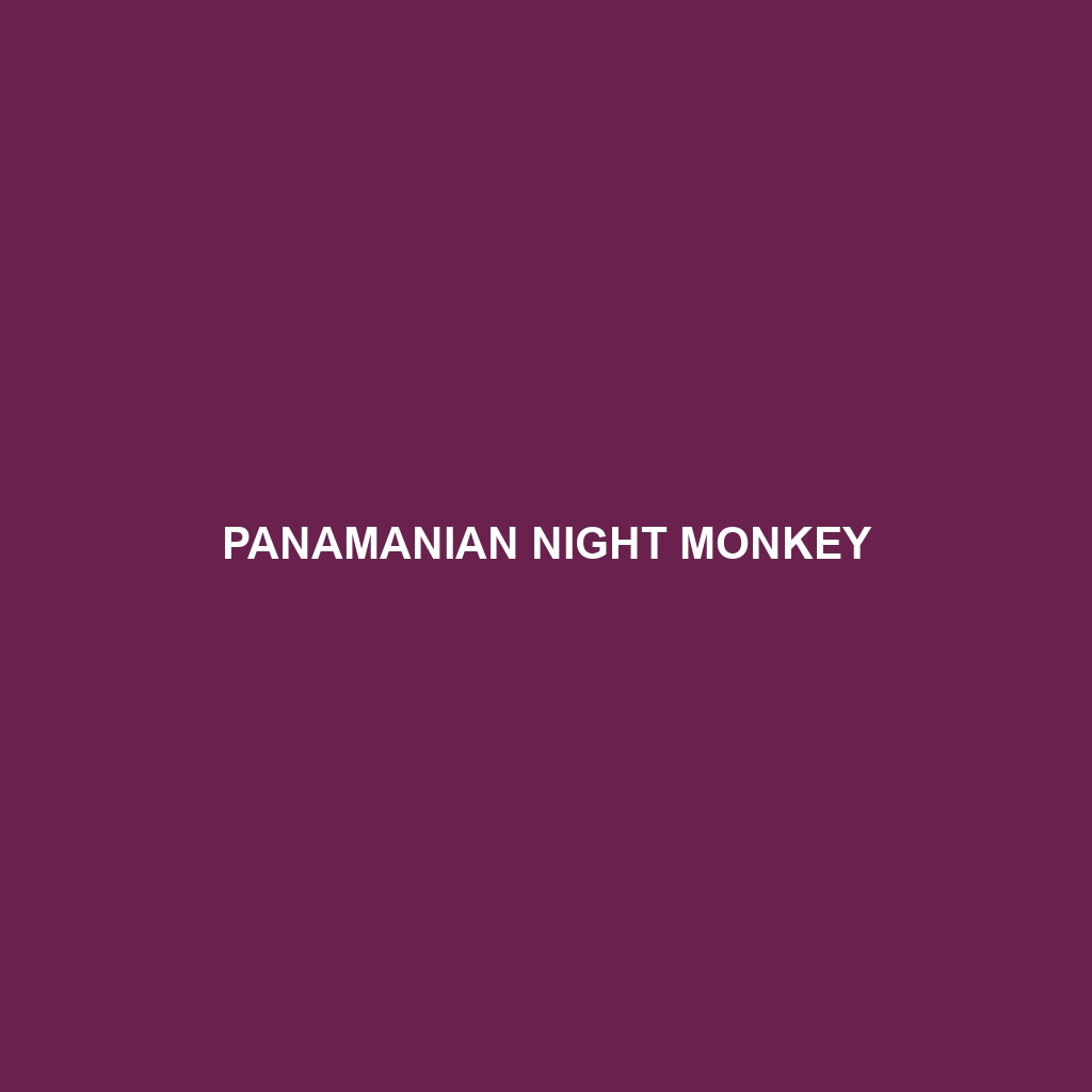 Panamanian Night Monkey