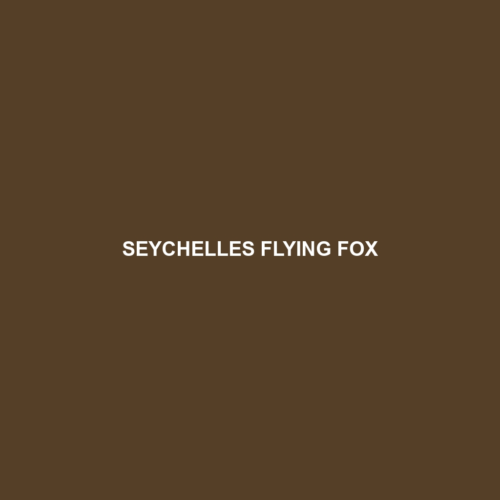 Seychelles Flying Fox