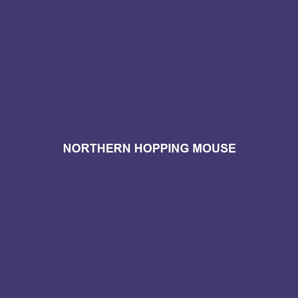 Northern Hopping Mouse