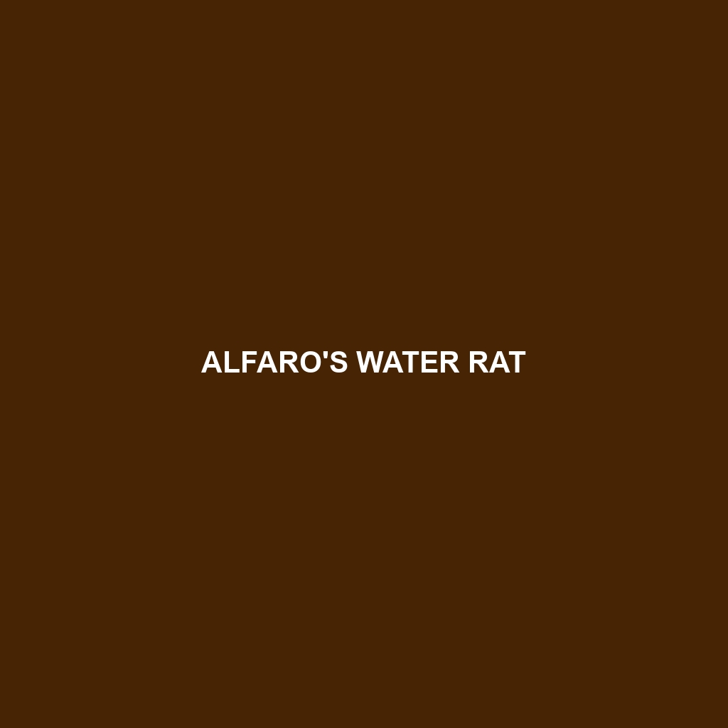 Alfaro's Water Rat