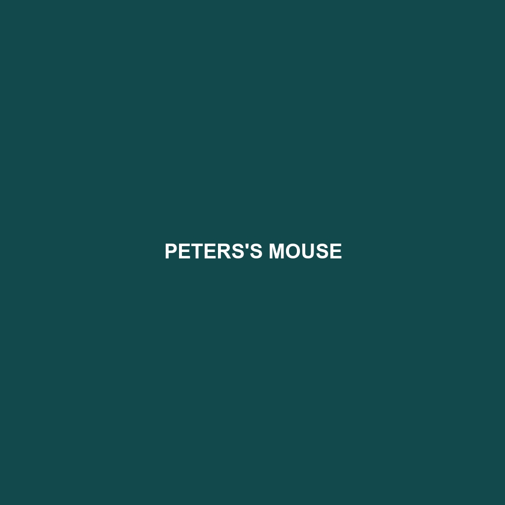 Peters's Mouse