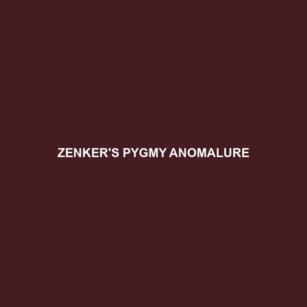 Zenker's Pygmy Anomalure