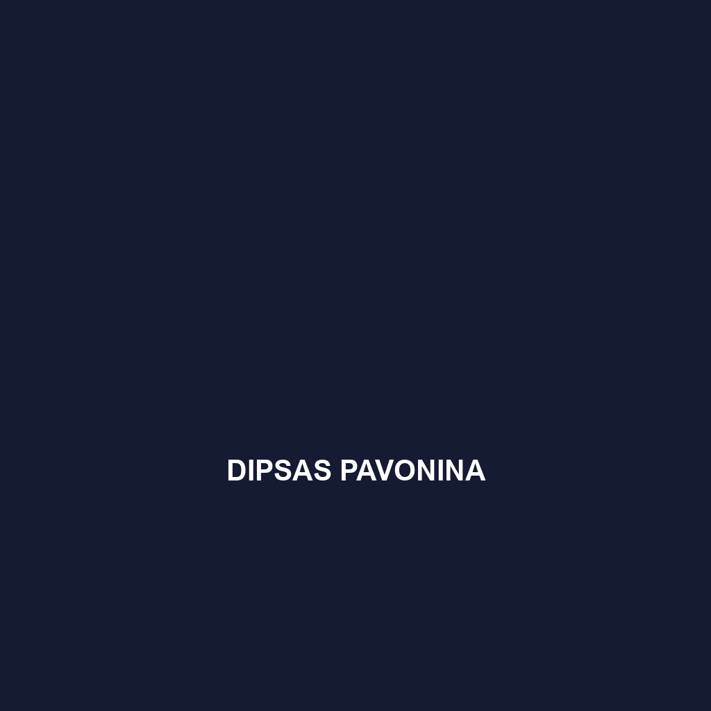 Dipsas pavonina