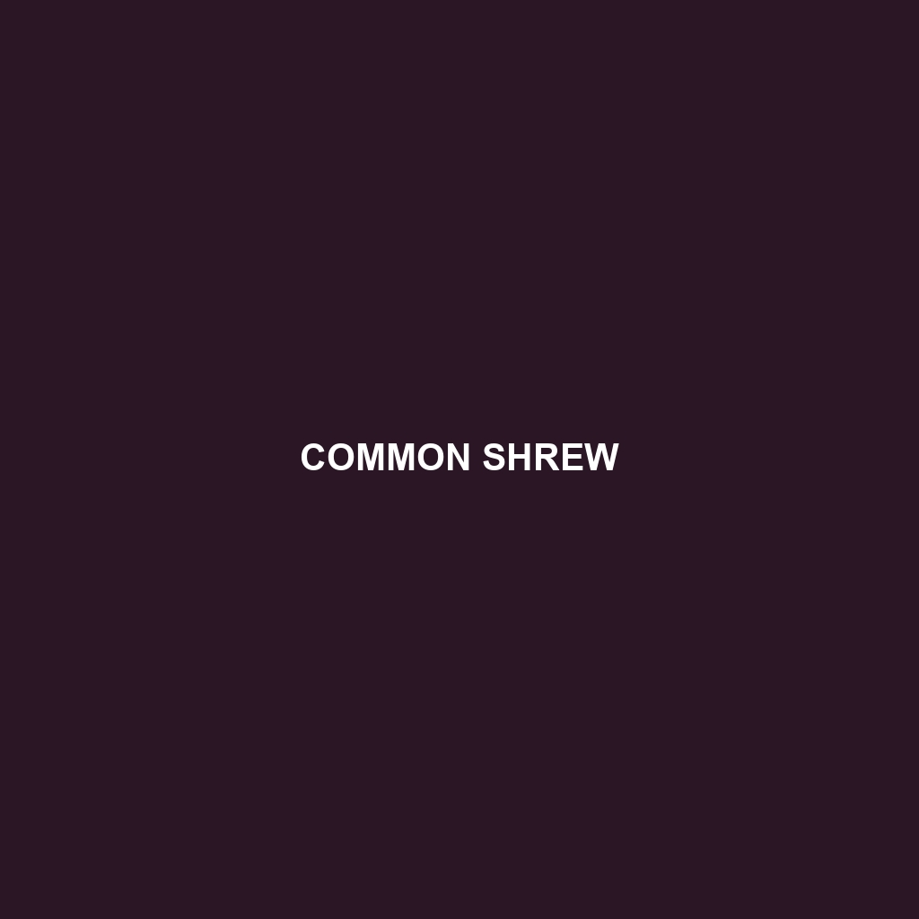 Common Shrew