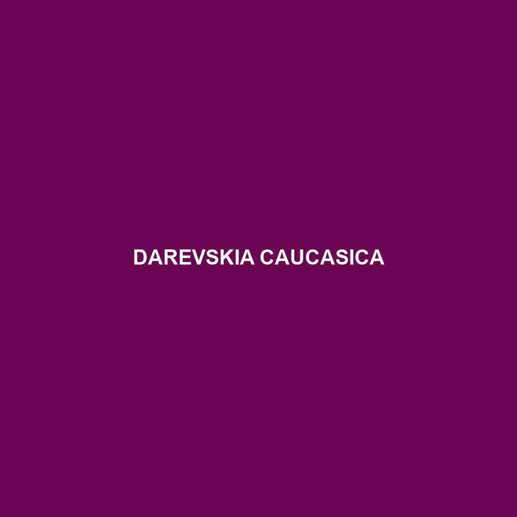 Darevskia caucasica