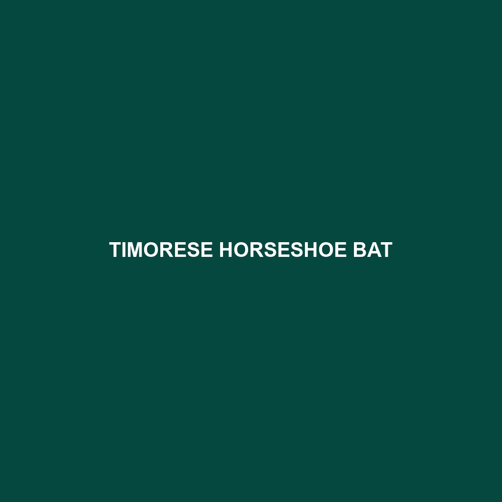 Timorese Horseshoe Bat