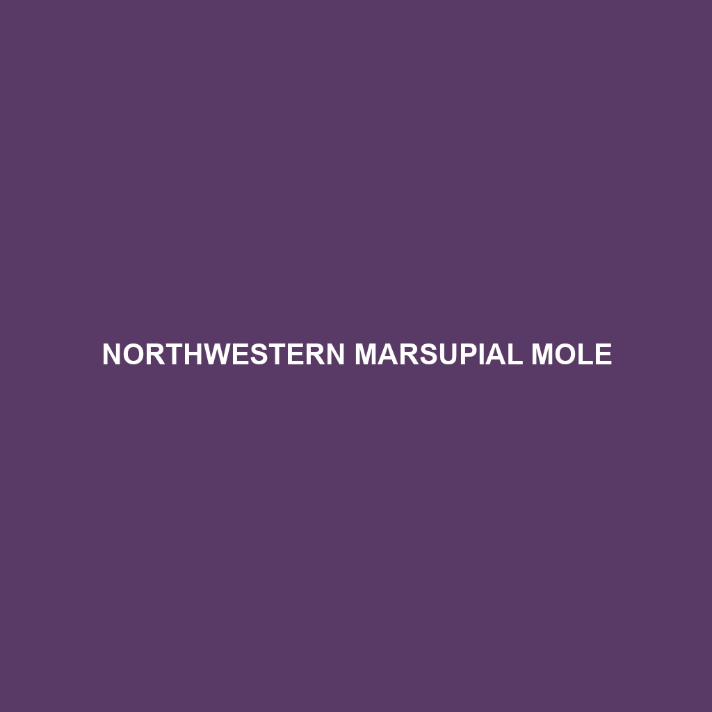 Northwestern Marsupial Mole