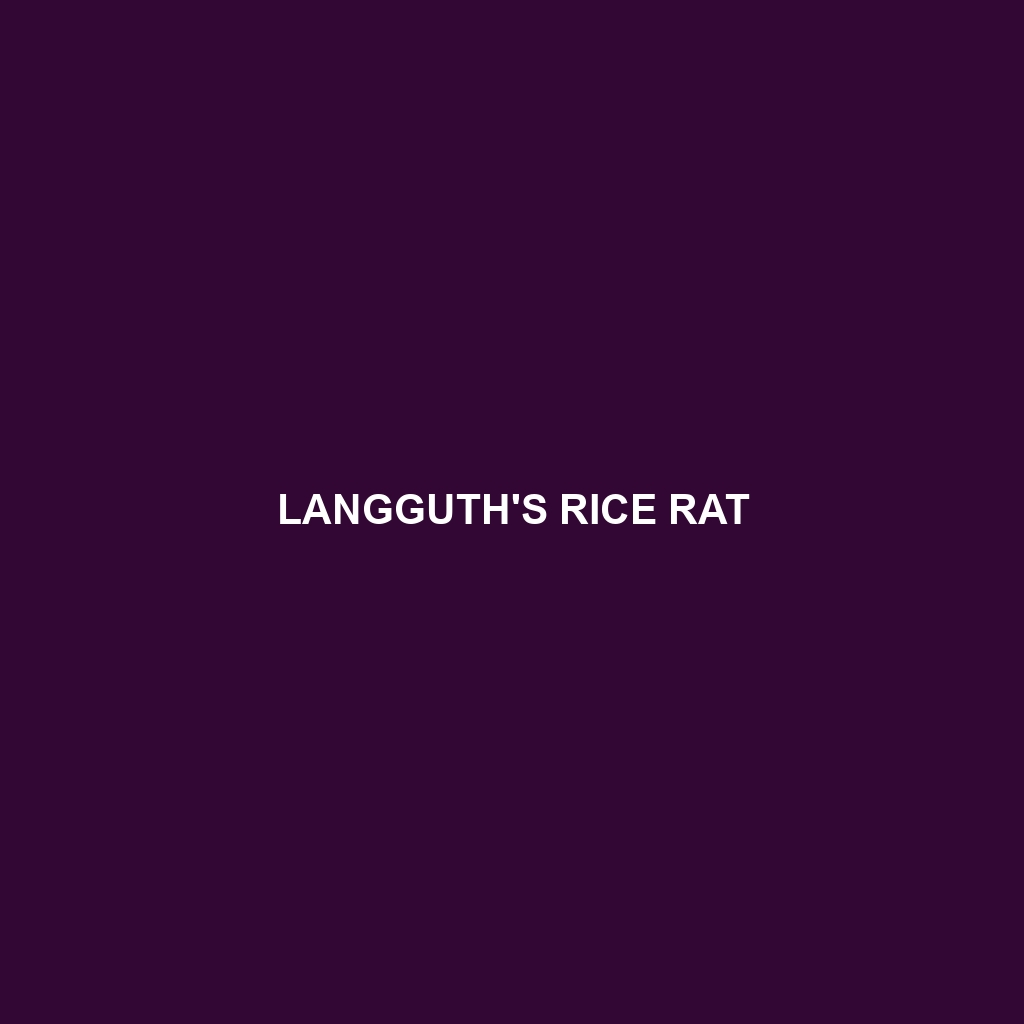 Langguth's Rice Rat