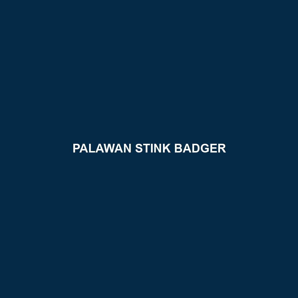 Palawan Stink Badger