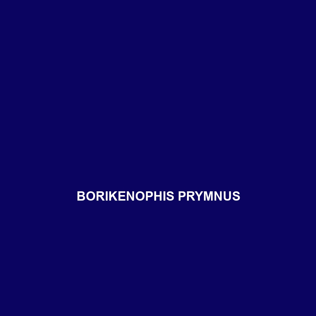 Borikenophis prymnus