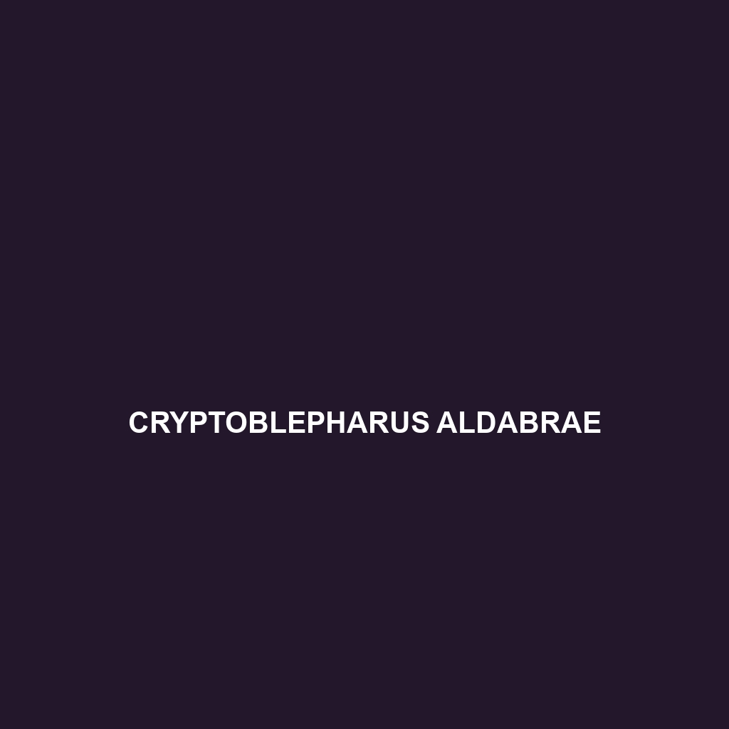 Cryptoblepharus ahli