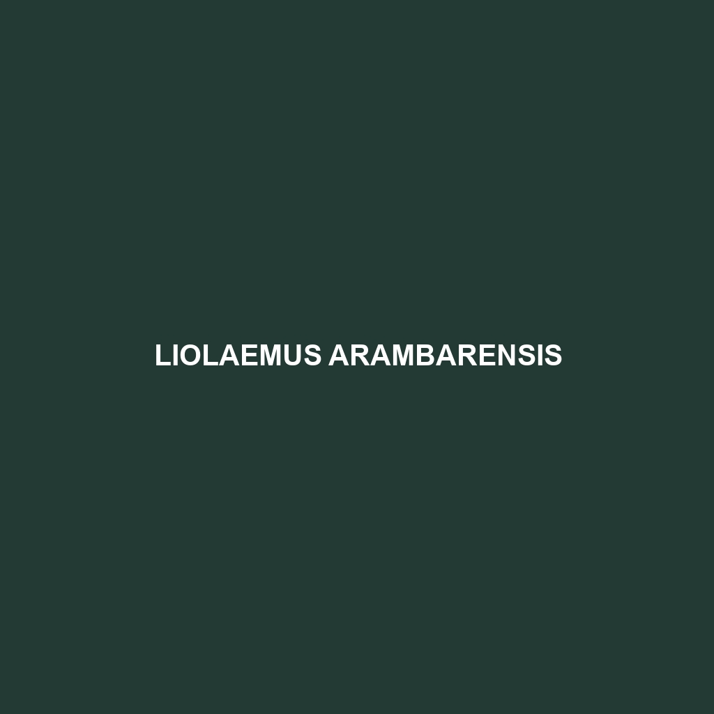 Liolaemus arambarensis