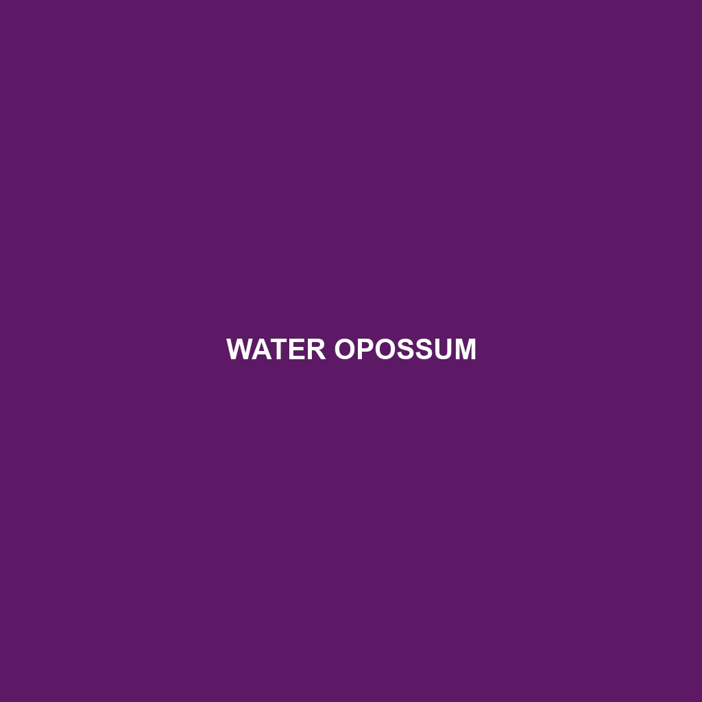 Water Opossum