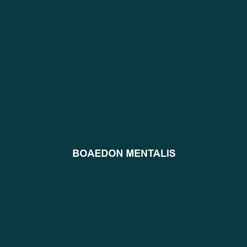 Boaedon mentalis