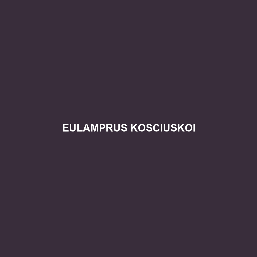 Eulamprus kosciuskoi