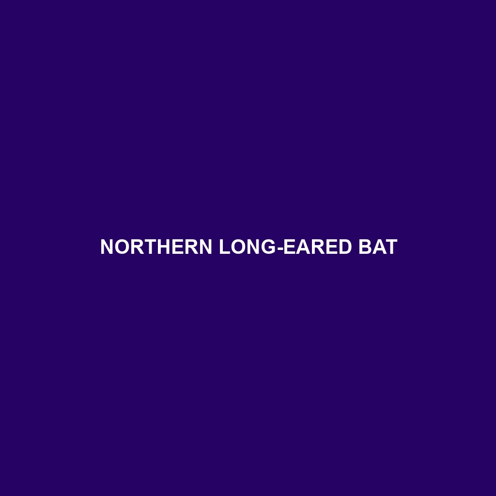 Northern Long-eared Bat