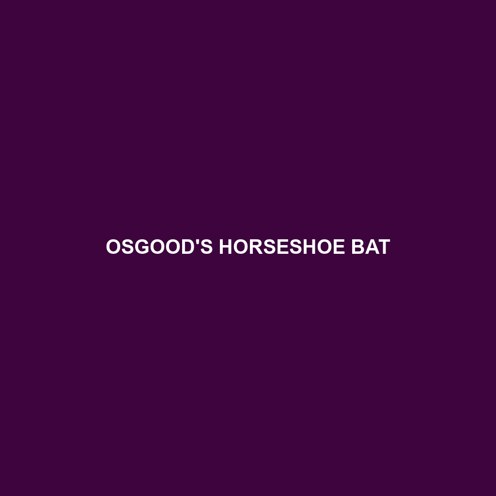 Osgood's Horseshoe Bat