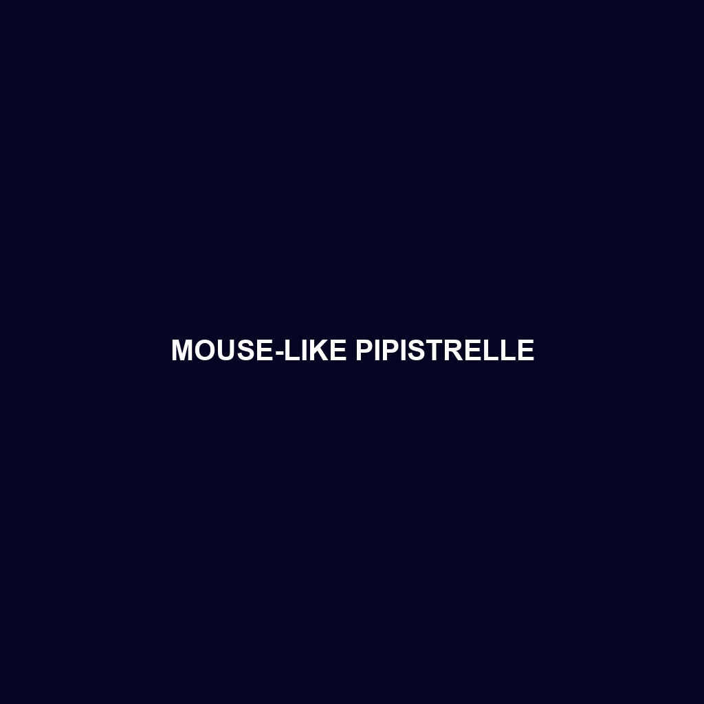 Mouse-like Pipistrelle