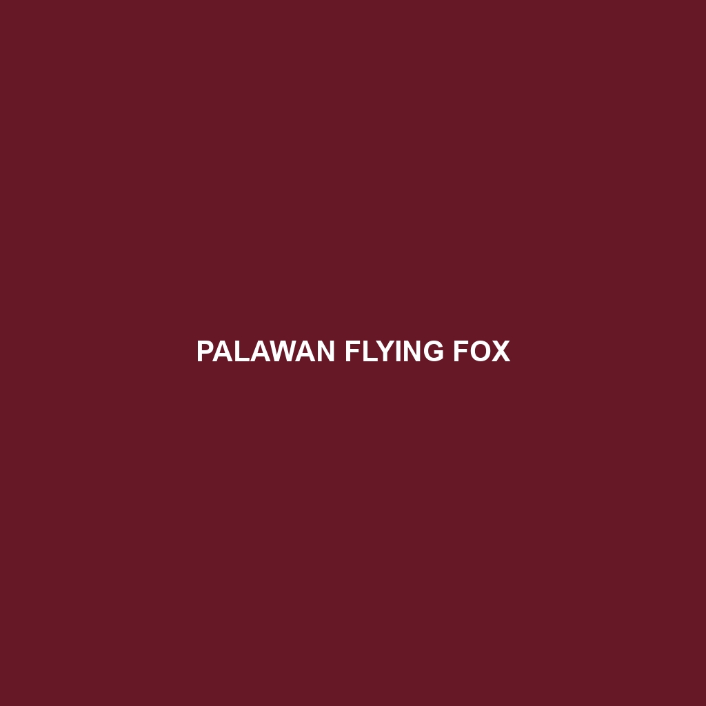 Palawan Flying Fox