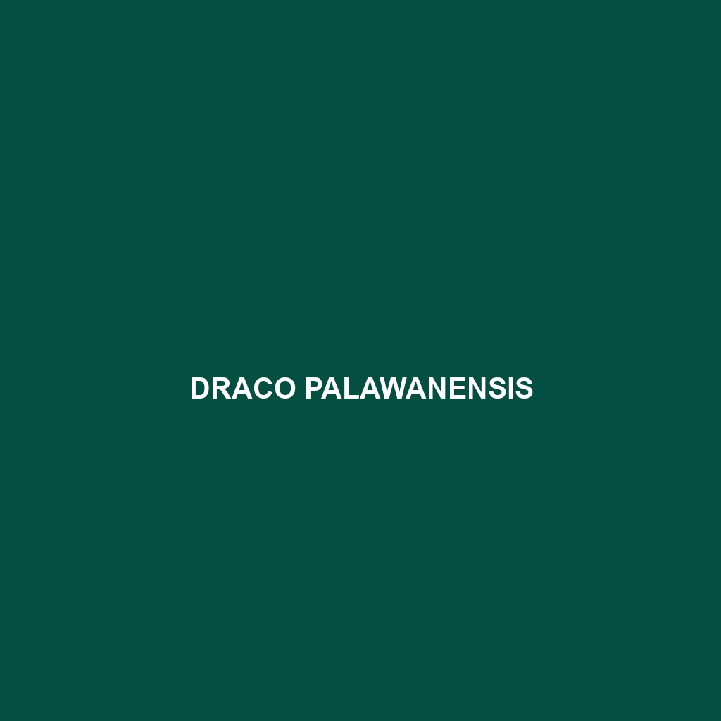 Draco palawanensis