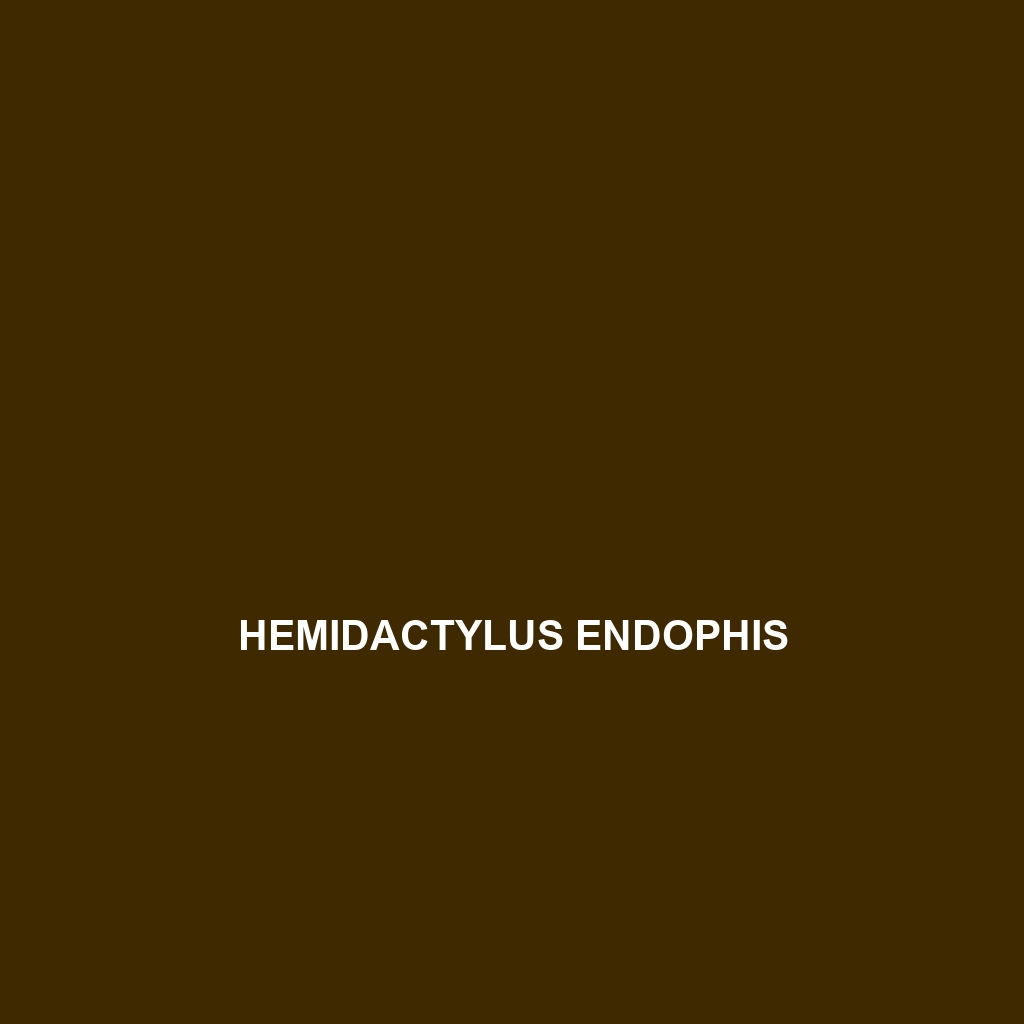 Hemidactylus endophis