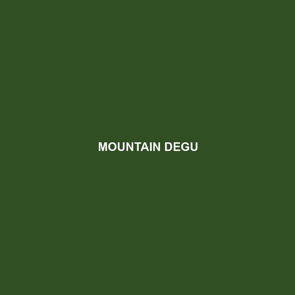 Mountain Degu