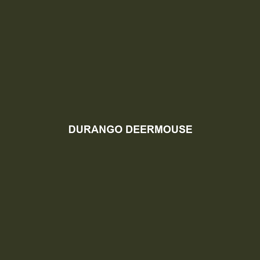 Durango Deermouse