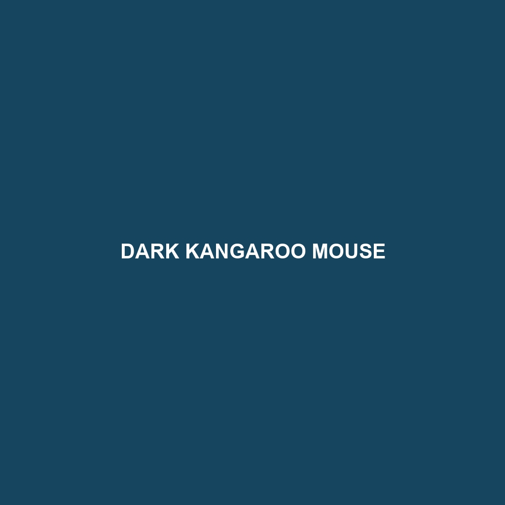 Dark Kangaroo Mouse