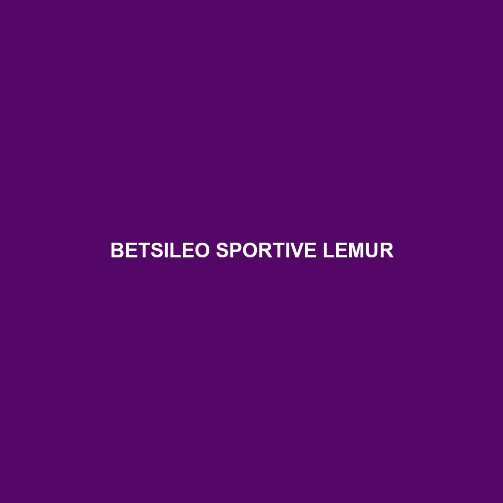 Betsileo Sportive Lemur