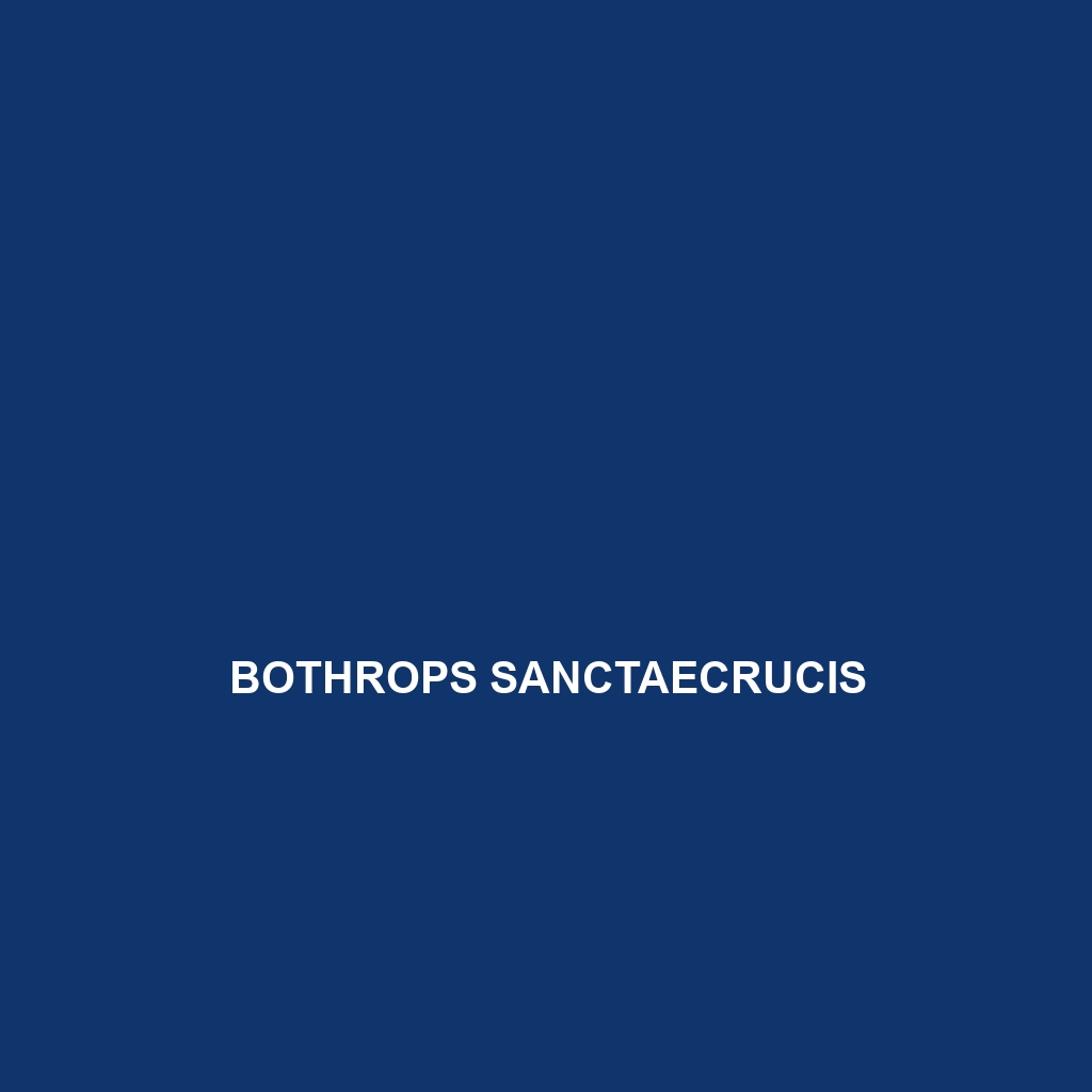 Bothrops sanctaecrucis