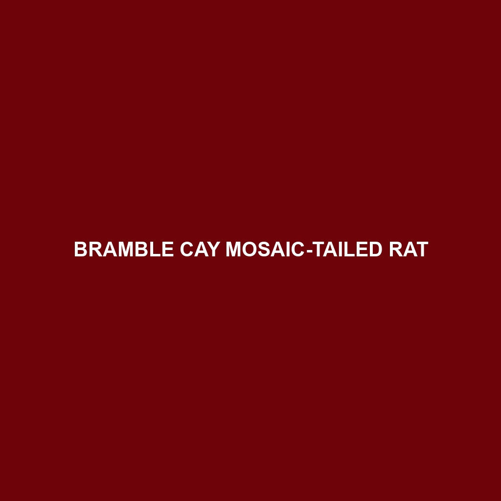 Bramble Cay Mosaic-tailed Rat