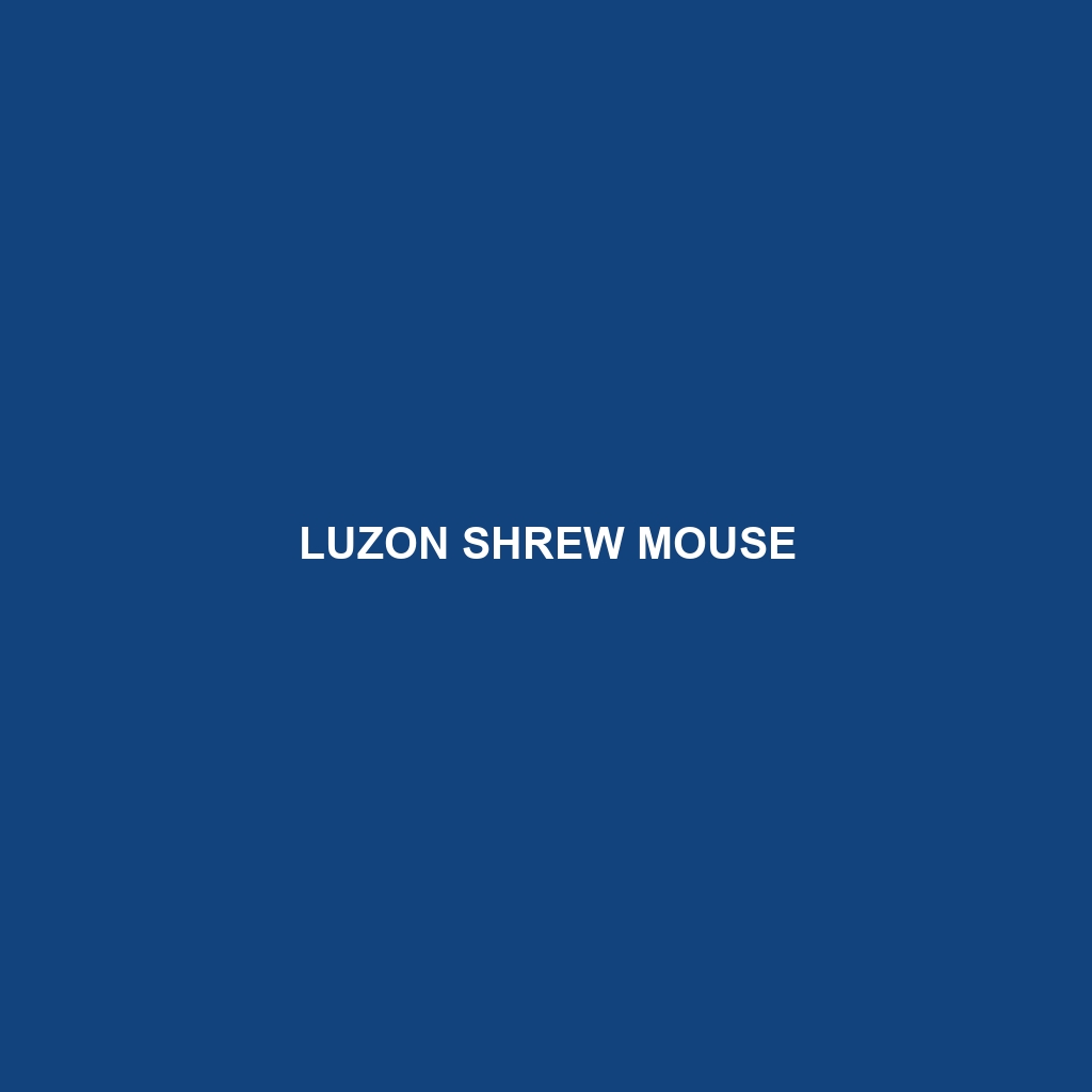 Luzon Shrew Mouse